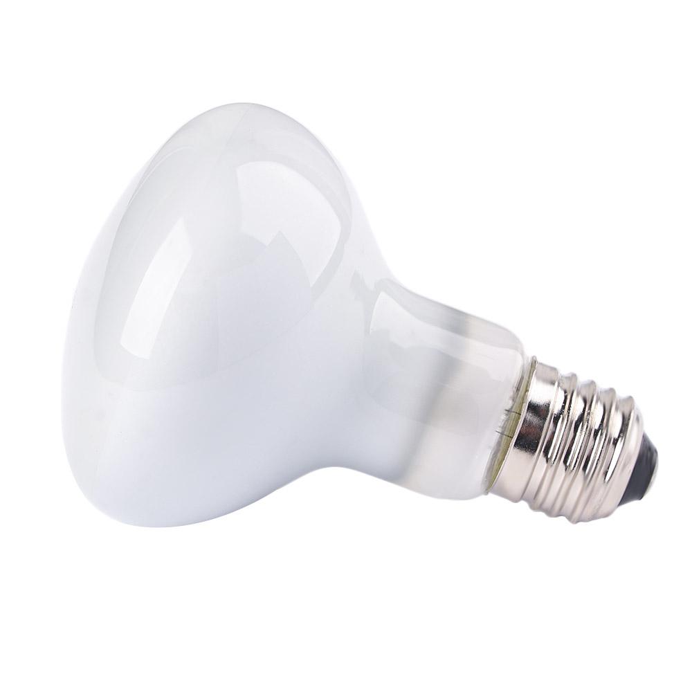 Eidechsen-Heizlampe UVA-Licht  – Basking Bulb Halogen Bewertung und Preis