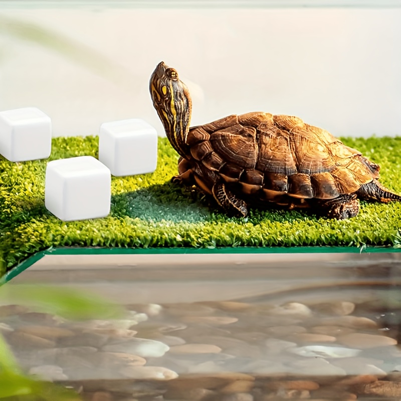 6 Stück Schleifsteine für Rept – Calcium Powder Reptile Bewertung und Preis