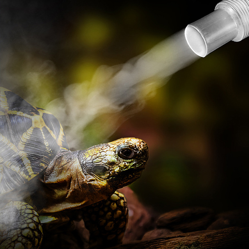4L Reptilien-Terrarien-Luftbef – Terrarium Fogger Ultrasonic Bewertung und Preis