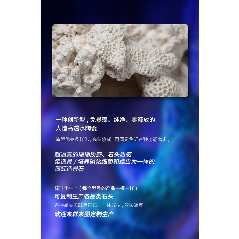 Glasierte Keramik-Anemonen-Dek – Hide Cave Ceramic Bewertung und Preis