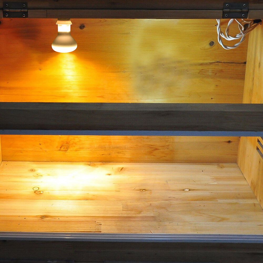 Eidechsen-Heizstrahler mit Tem – Basking Bulb Halogen Bewertung und Preis